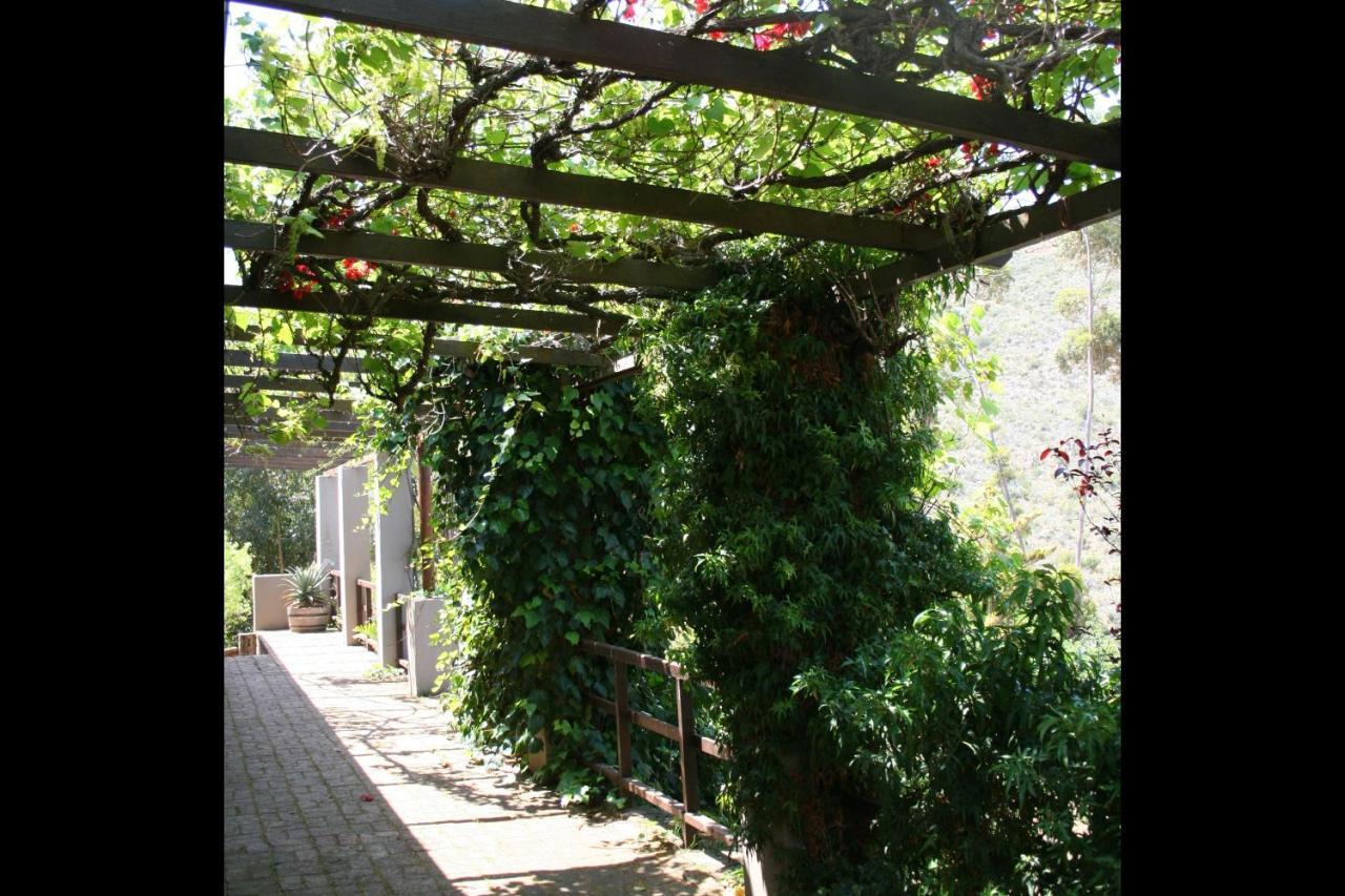 Porcupine Hills Olive And Guest Farm Villa Botrivier Exterior photo