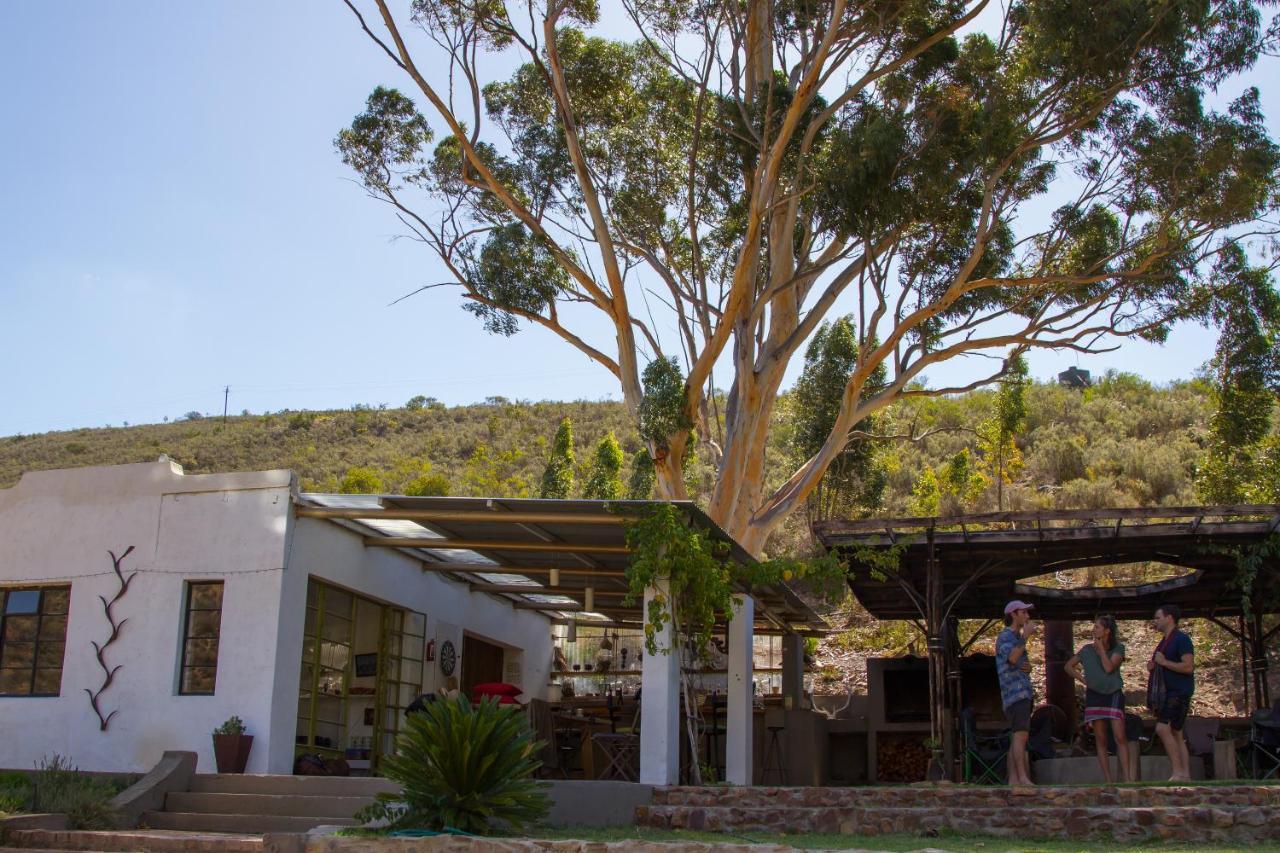 Porcupine Hills Olive And Guest Farm Villa Botrivier Exterior photo
