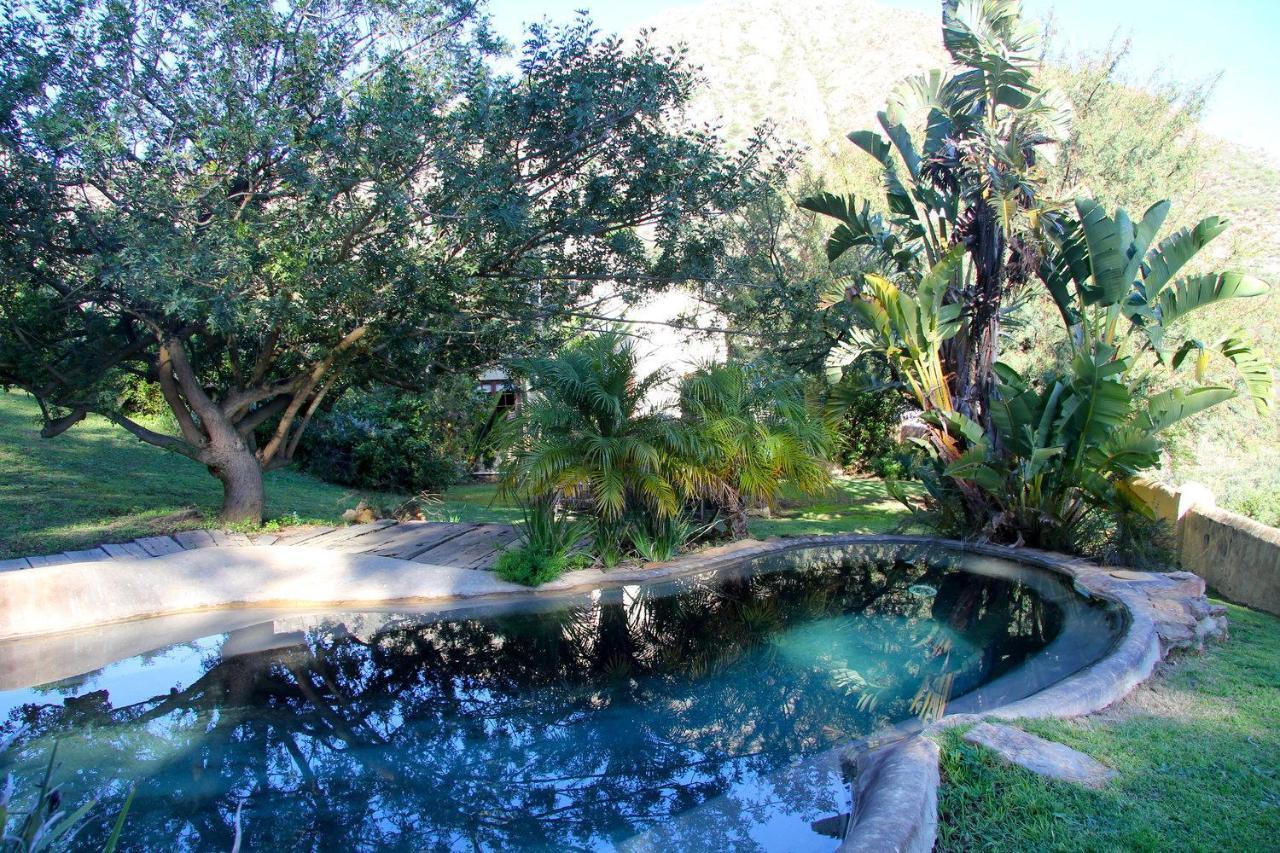 Porcupine Hills Olive And Guest Farm Villa Botrivier Exterior photo