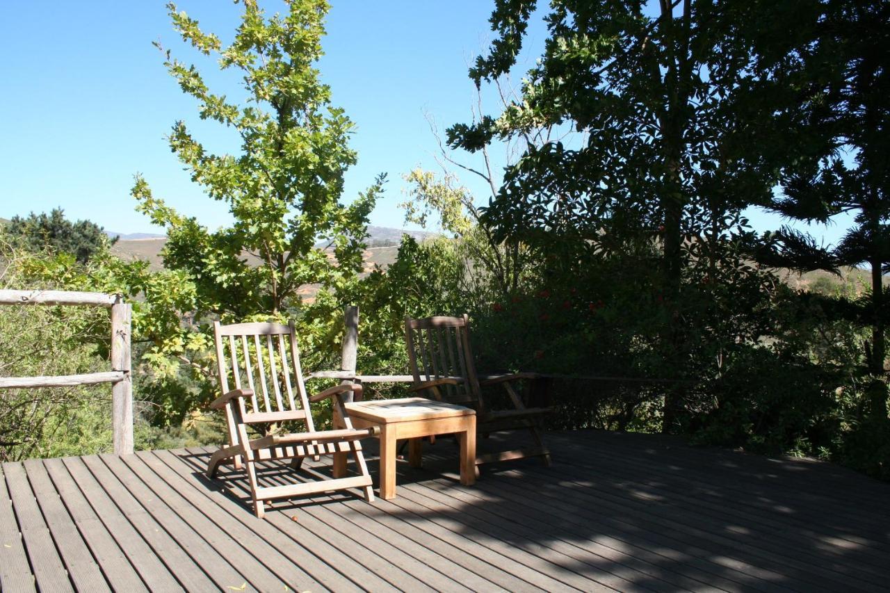 Porcupine Hills Olive And Guest Farm Villa Botrivier Exterior photo