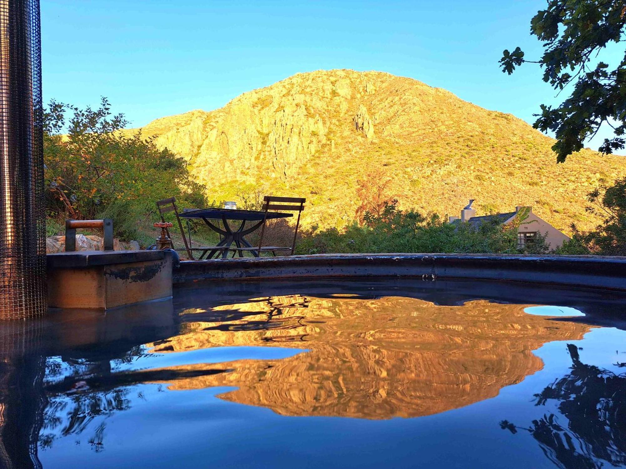 Porcupine Hills Olive And Guest Farm Villa Botrivier Exterior photo