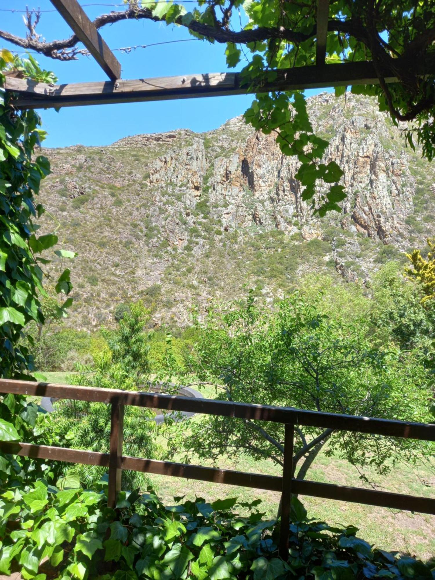 Porcupine Hills Olive And Guest Farm Villa Botrivier Exterior photo